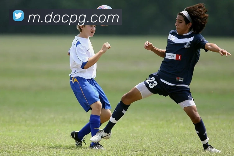 pg官网服务体系